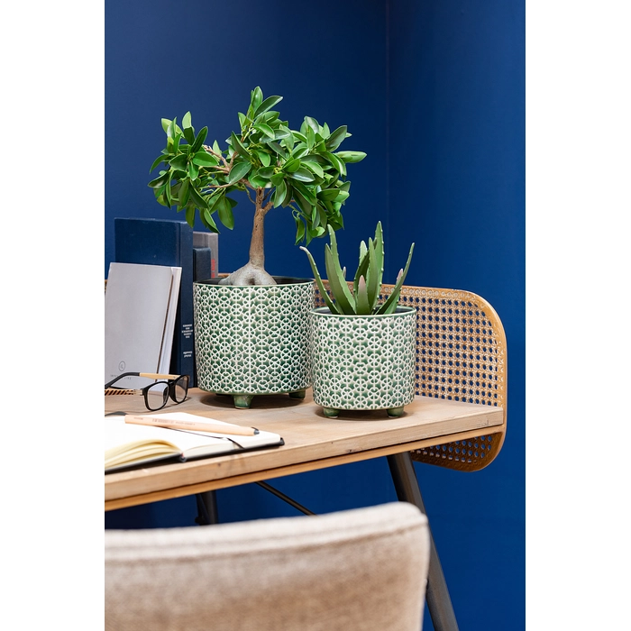 Alternative view of Cachepot flower verde 14x14x14cm