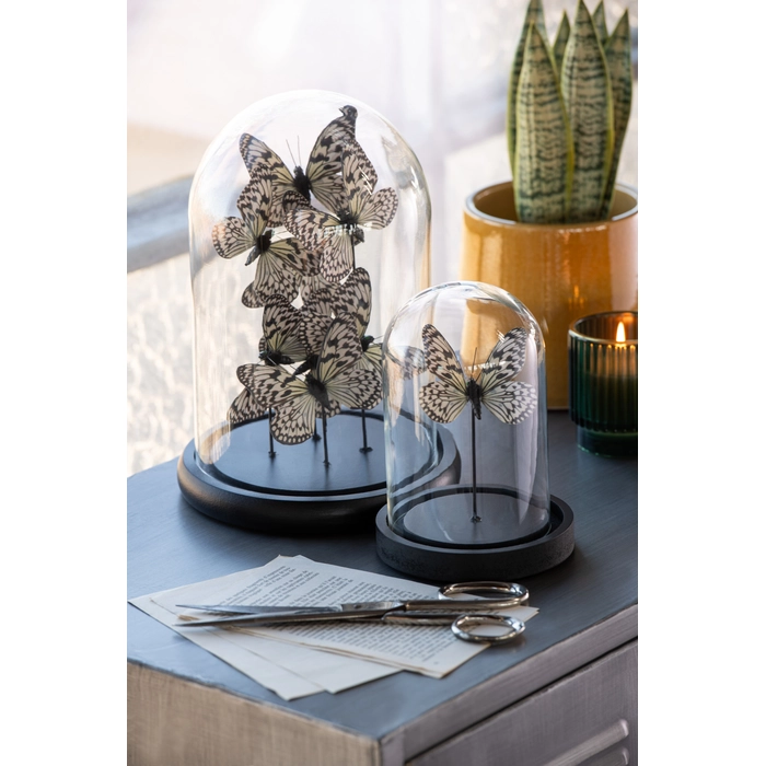 Alternative view of Escultura borboletas na redoma de vidro 26x18x18cm