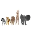 Jogo 5 animais floresta 23x6x25cm