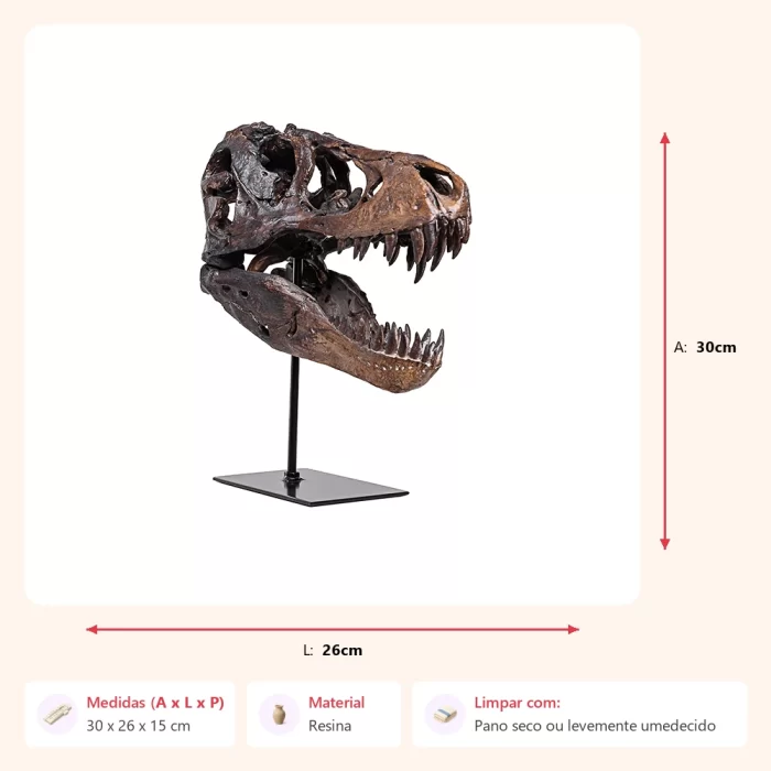 Alternative view of Escultura cabeça de dinossauro 30x26x15cm